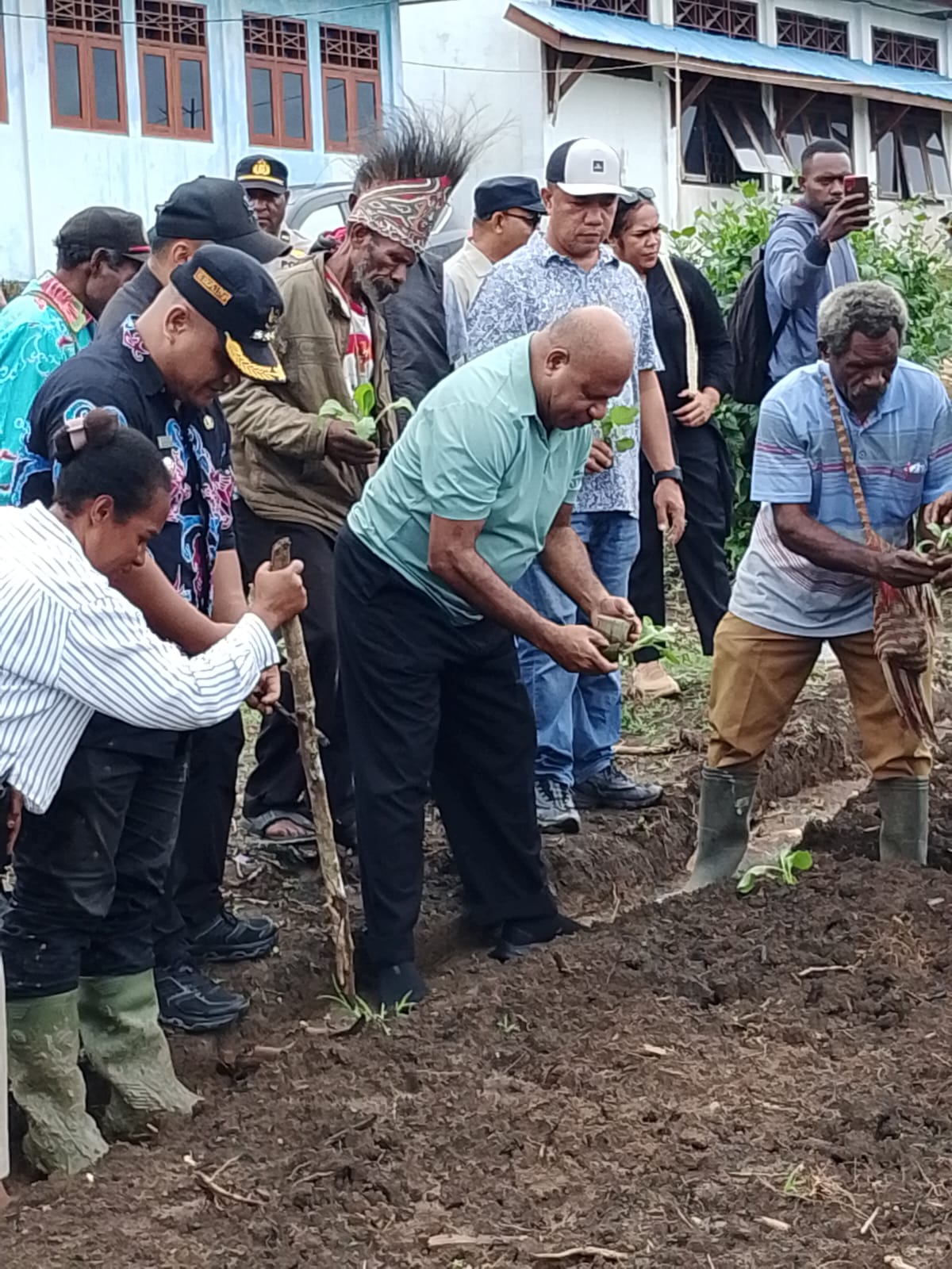 Gubernur Papua MDF Tanam Perdana Sayur di SMA Negeri 1 Ibub, Ajak Siswa Bangun Budaya Berkebun Sejak Dini